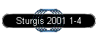 Sturgis 2001 1-4