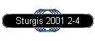 Sturgis 2001 2-4