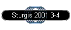 Sturgis 2001 3-4
